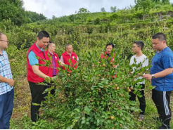 1627951151386399.png image.png