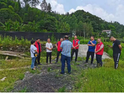 1627951156486812.png image.png