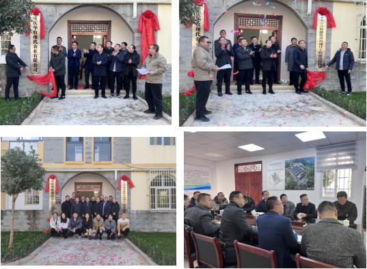 1640075341115704.png image.png