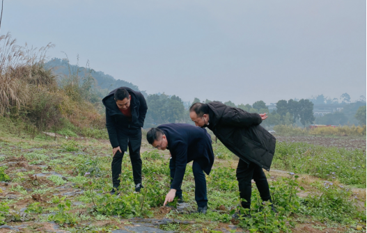 1642407750558543.png image.png