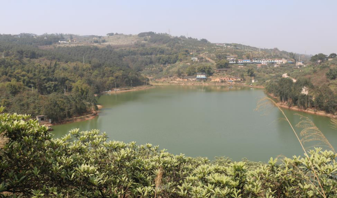 1650943665828009.png image.png