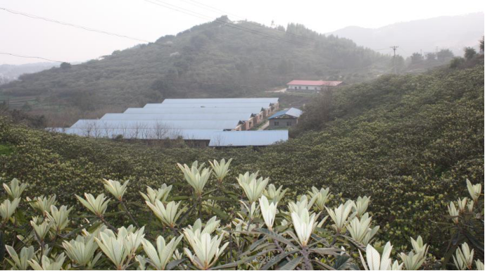 1650943702331058.png image.png