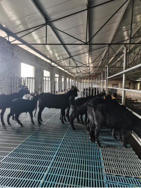 1652683451956656.png image.png