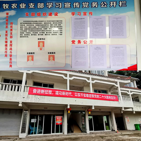 1655452248904097.png image.png