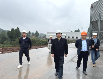 1729046537983537.png image.png