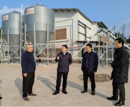 1734403980421511.png image.png