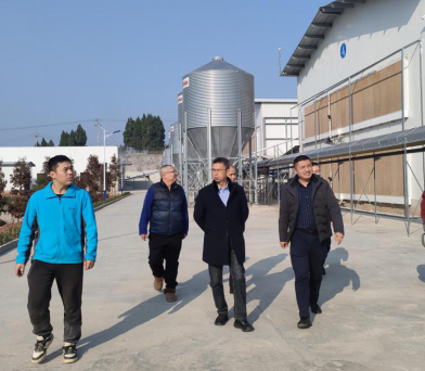 1735635207975197.png image.png