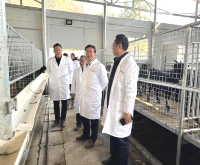 1736824041483573.png image.png