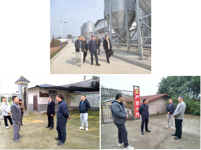 1737598121804653.png image.png