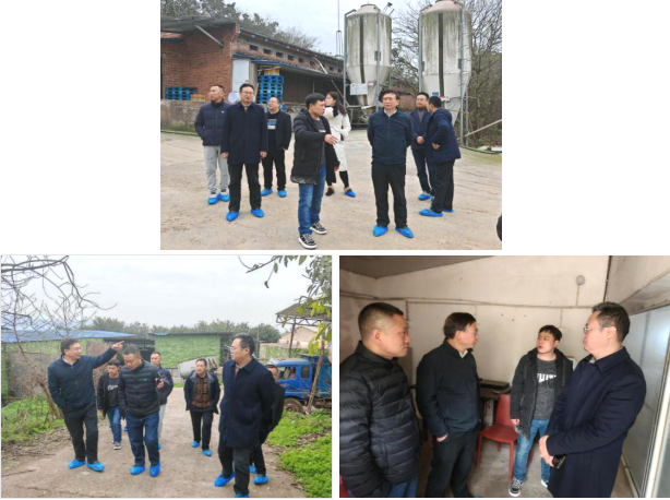 1739409450425304.png image.png