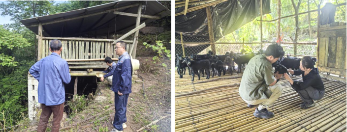 1750670137820841.png image.png